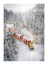 HOLIDAY TRAIN