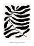 ABSTRACT PLANT COLLECTION