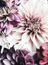 ELEGANT DAHLIAS