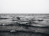 MONOCHROME WAVES