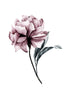 FLORAL ART