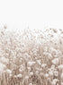 BEIGE FLORAL FILED