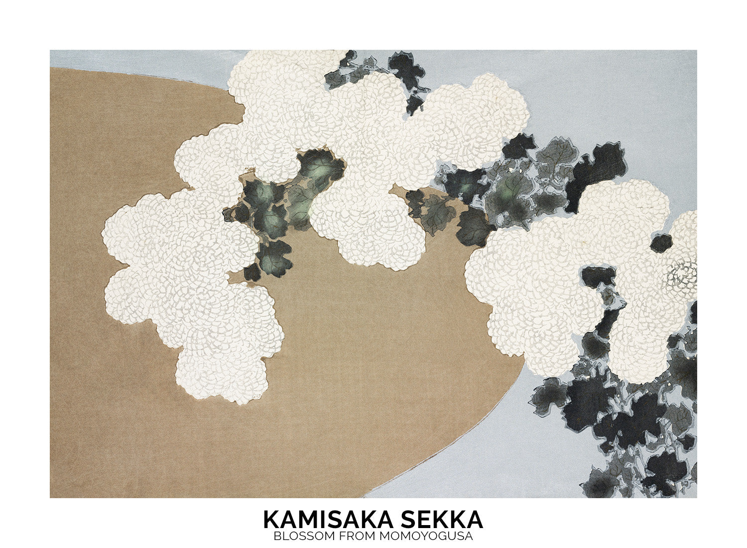KAMISAKA SEKKA BLOSSOM