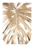 GOLD MONSTERA