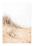GOLDY SAND