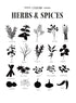 HERBS & SPICES