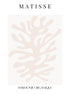 MATISSE HARMONIE
