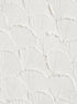 GINKGO TEXTURE