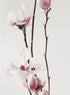 MAGNOLIA PINK