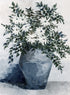 BLUE VASE CANVAS
