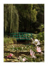 GARDEN BRIDGE