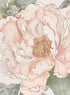 AQUARELLE BLOSSOM