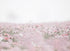 DREAMY FIELD