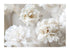 BEIGE FLOWERS