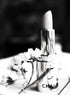 CHANEL LIPSTICK