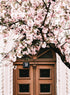 BLOSSOM DOORWAY