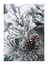 CONES AND CHRISTMAS TREE