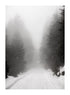 BLACK SNOWY FOREST