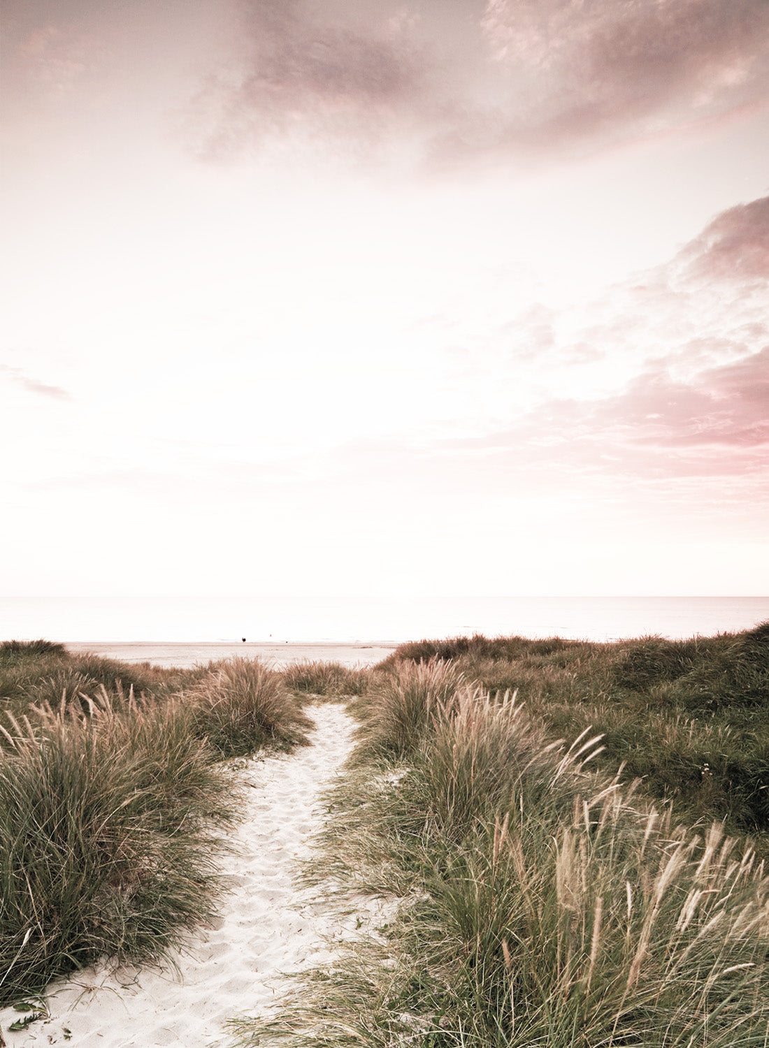 BEACH FIELD