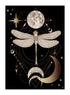 MOON ,STAR BUTTERFLY