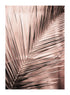 GYLLENE PALM LEAF