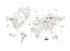GREY WORLD MAP