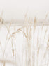 BEIGE GRASS