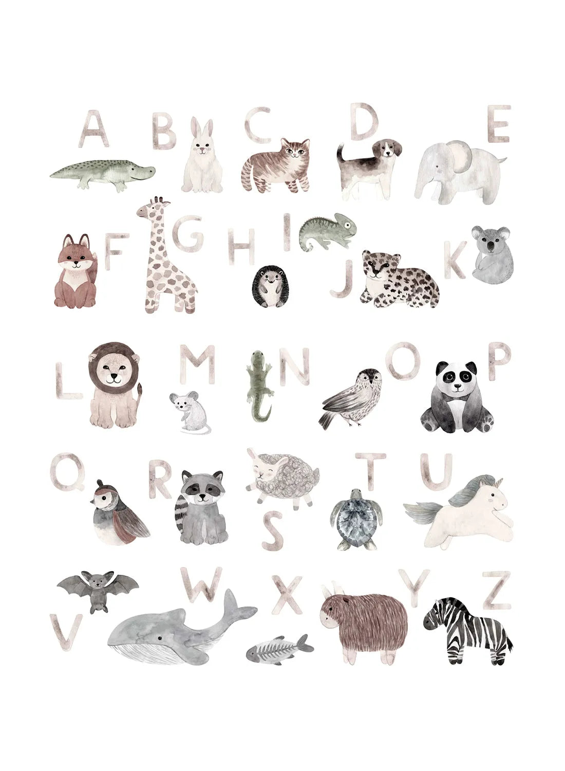 CUTE ANIMALS