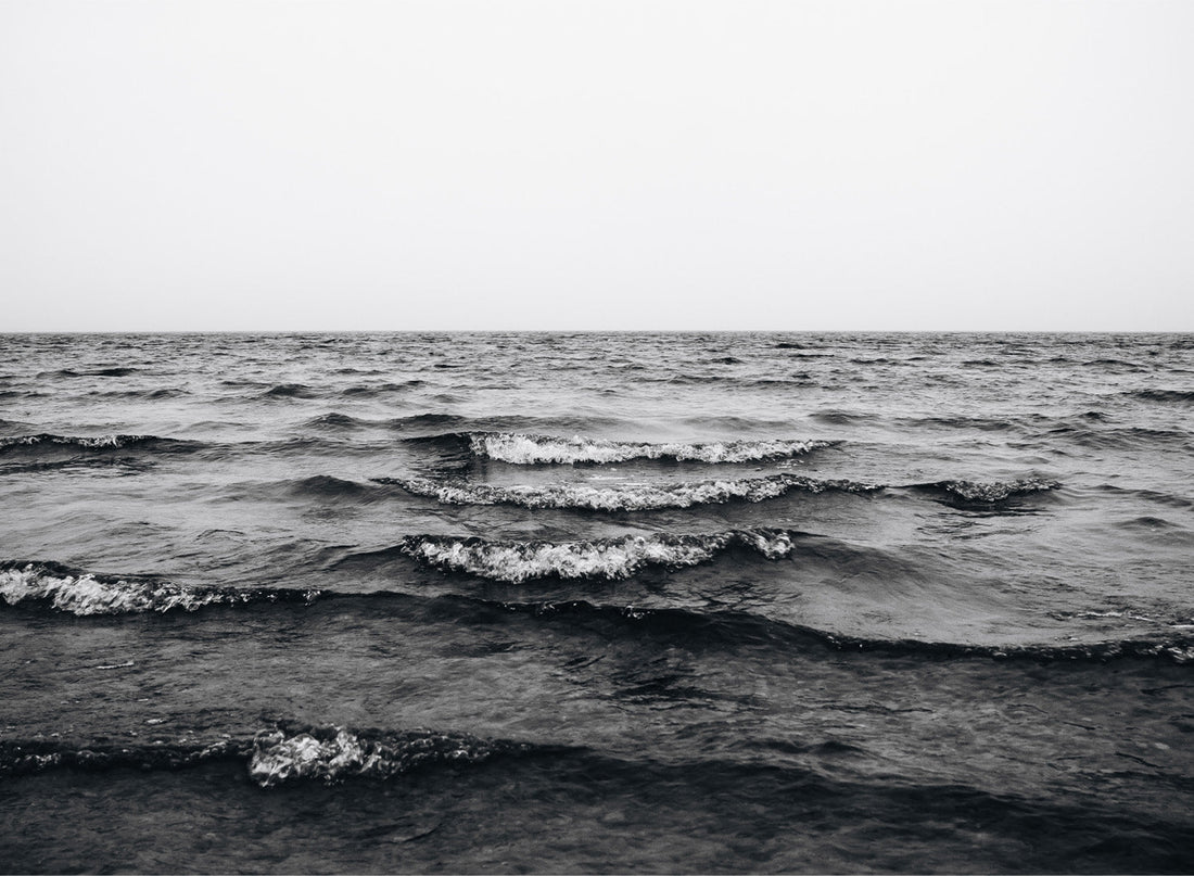 MONOCHROME WAVES