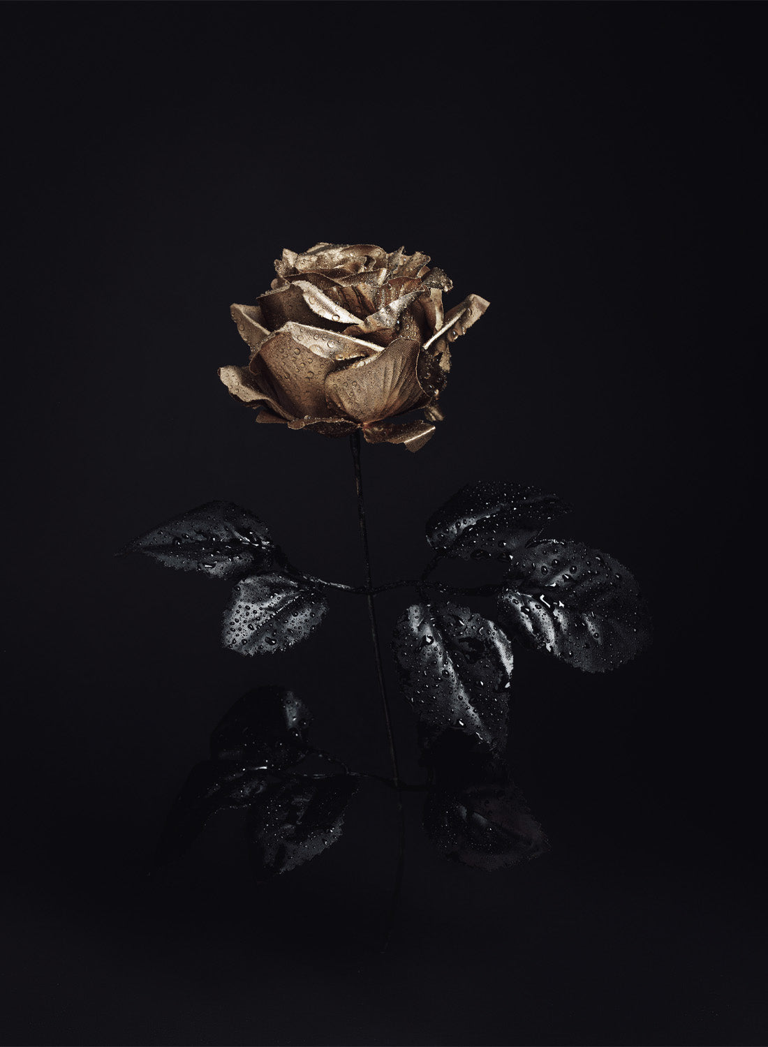 GOLD ROSE
