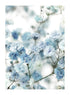 BLUE FLOWERS