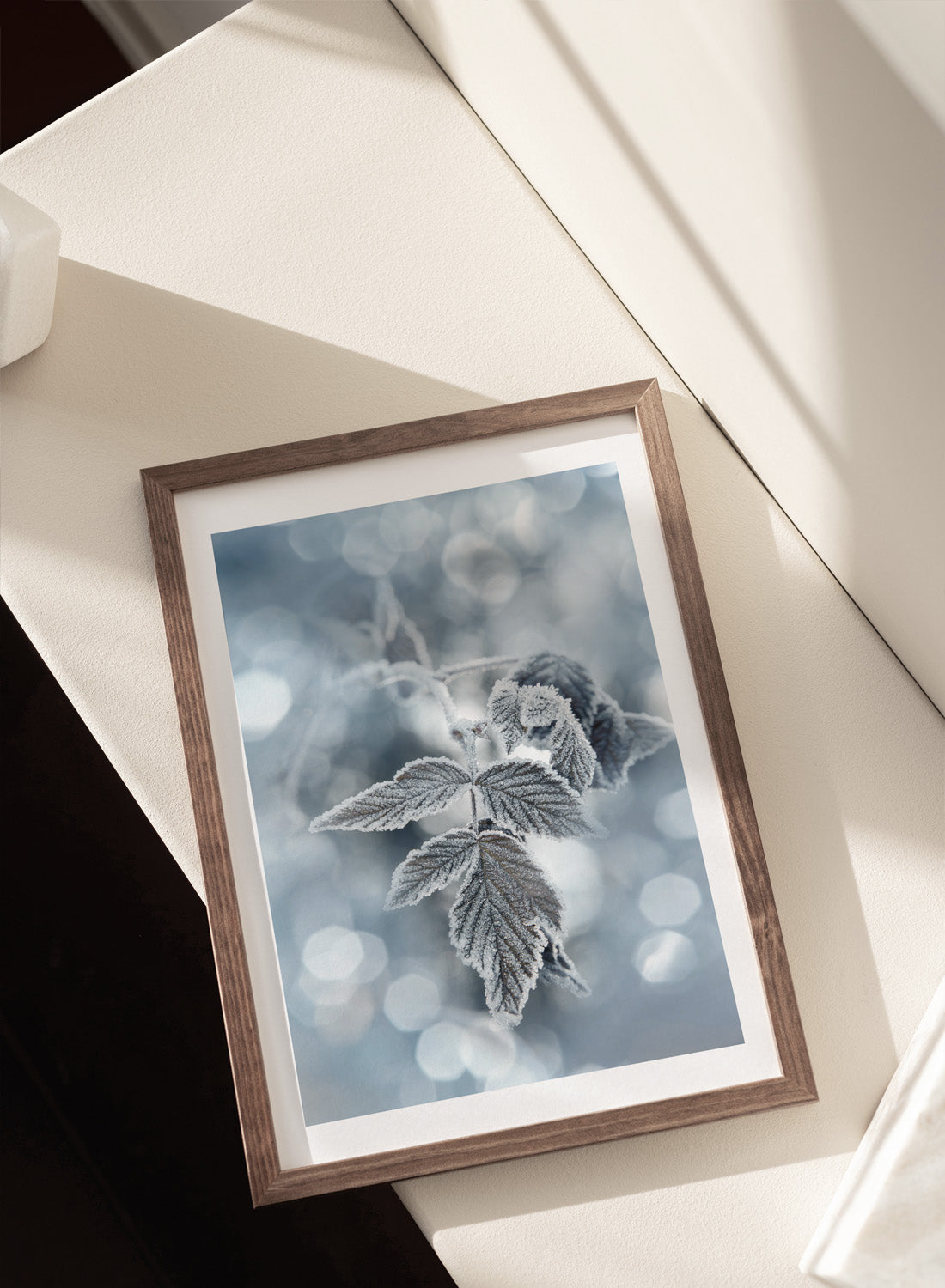 FROSTY LEAVES