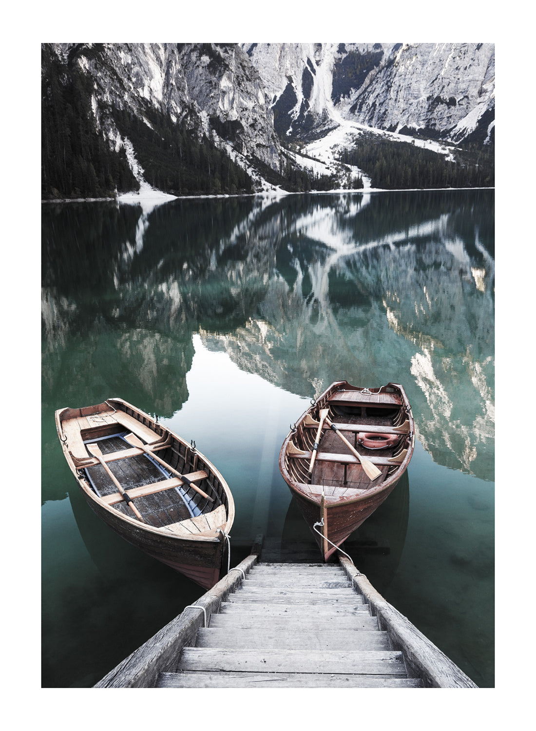 BOATS IN THE FOREST