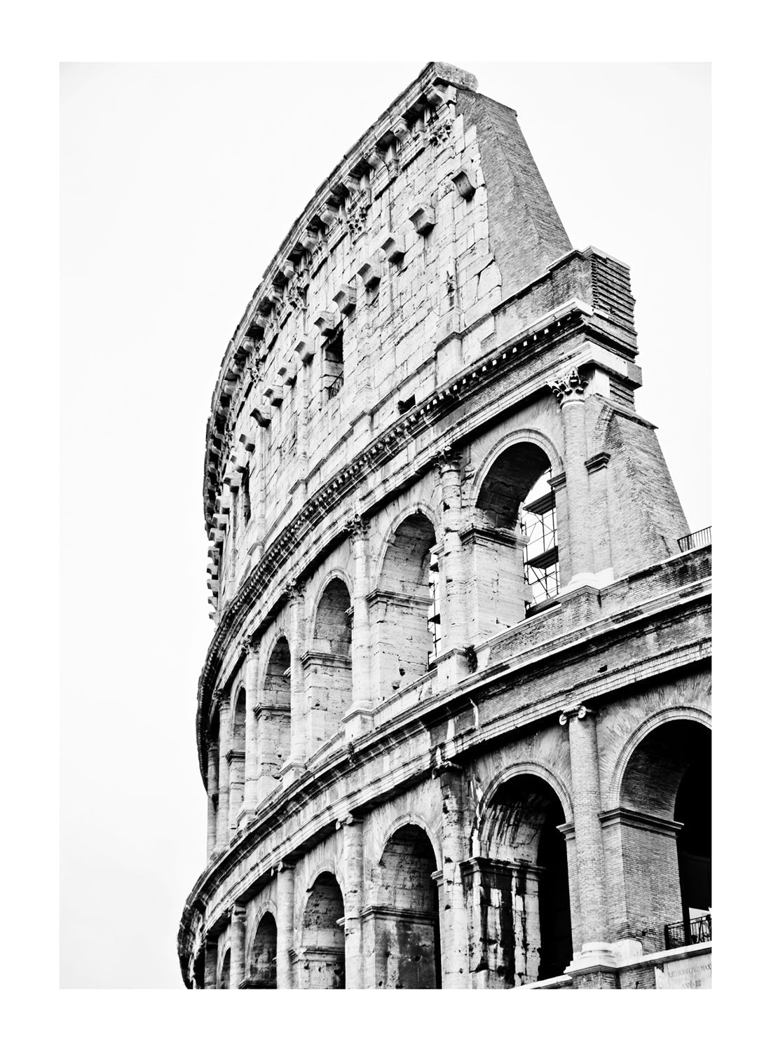 COLOSSEUM