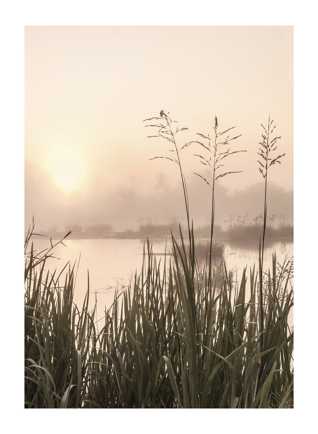 MISTY MORNING LAKE