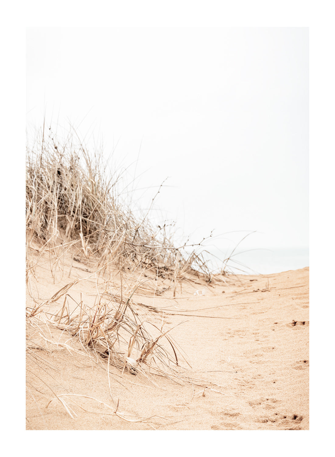 GOLDY SAND