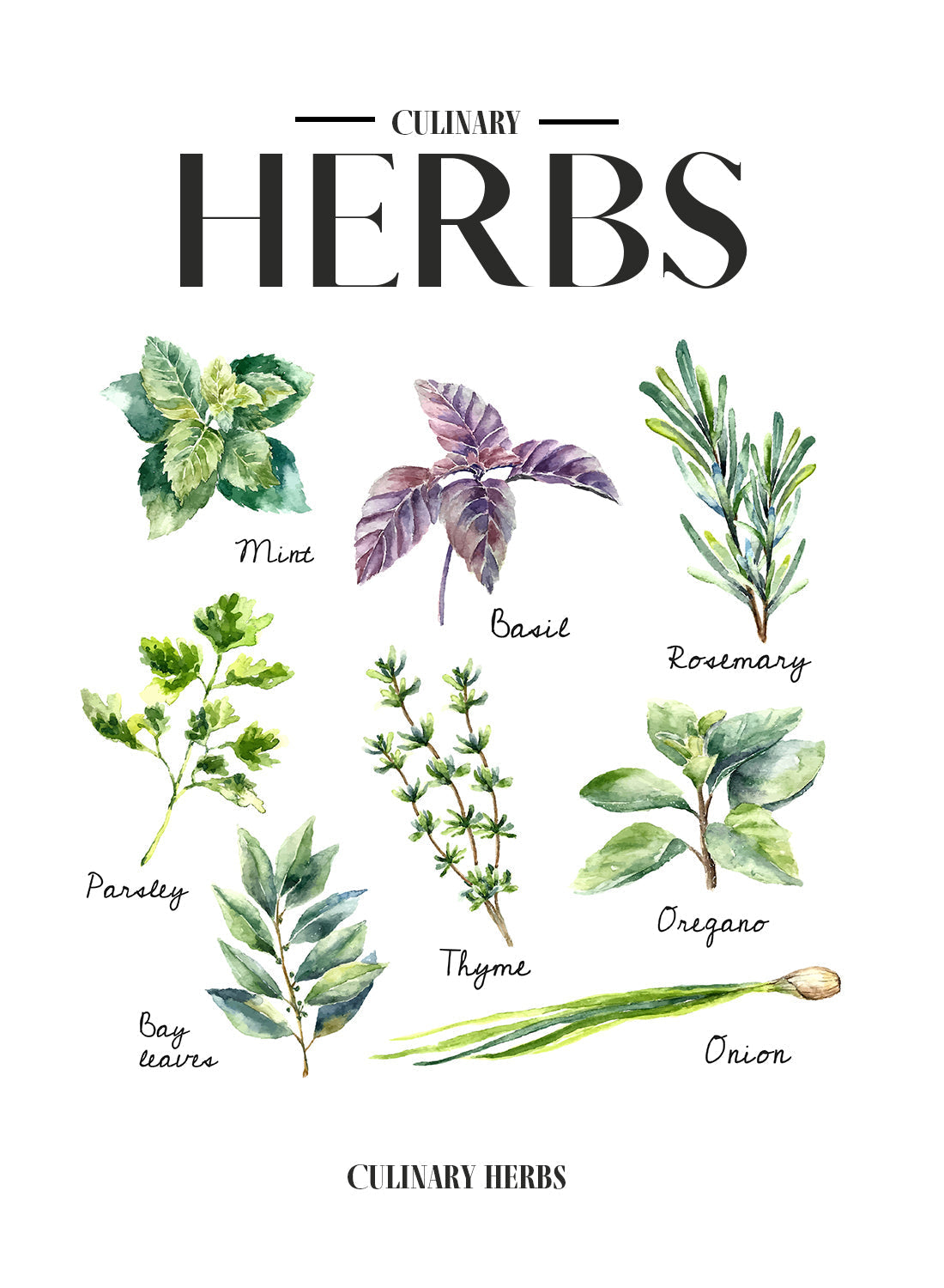 GREEN HERBS
