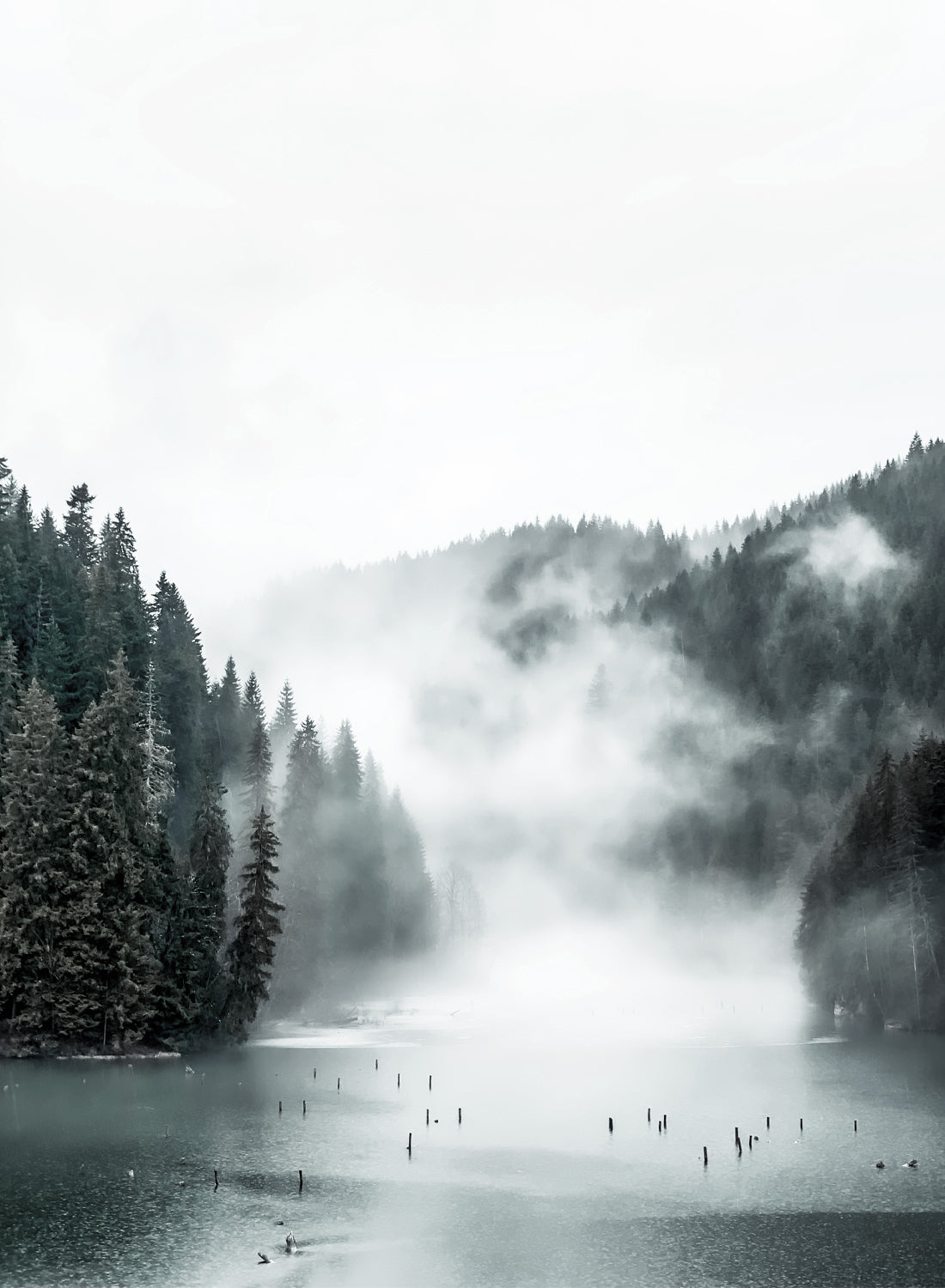 LAKE MORNING