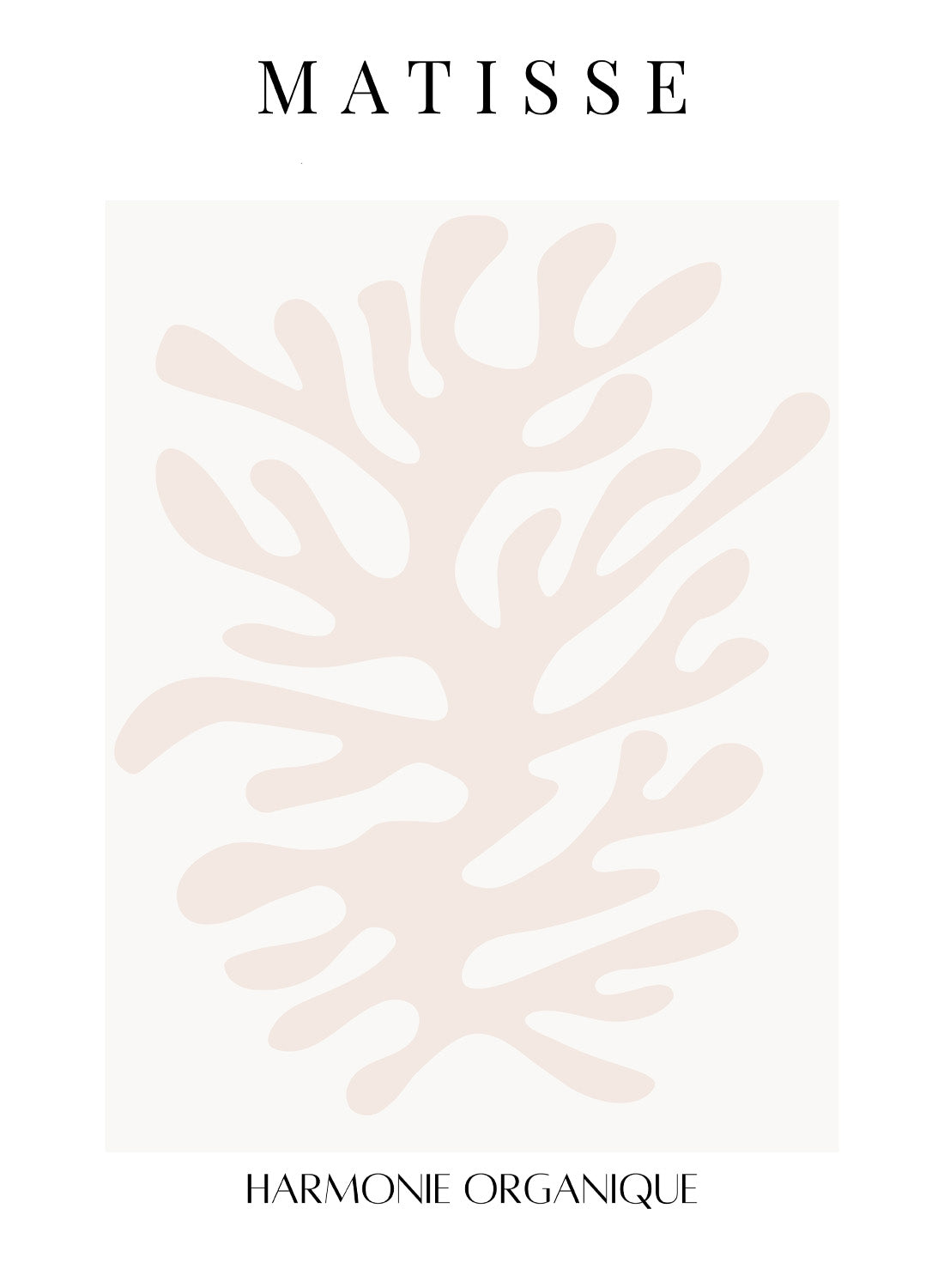 MATISSE HARMONIE