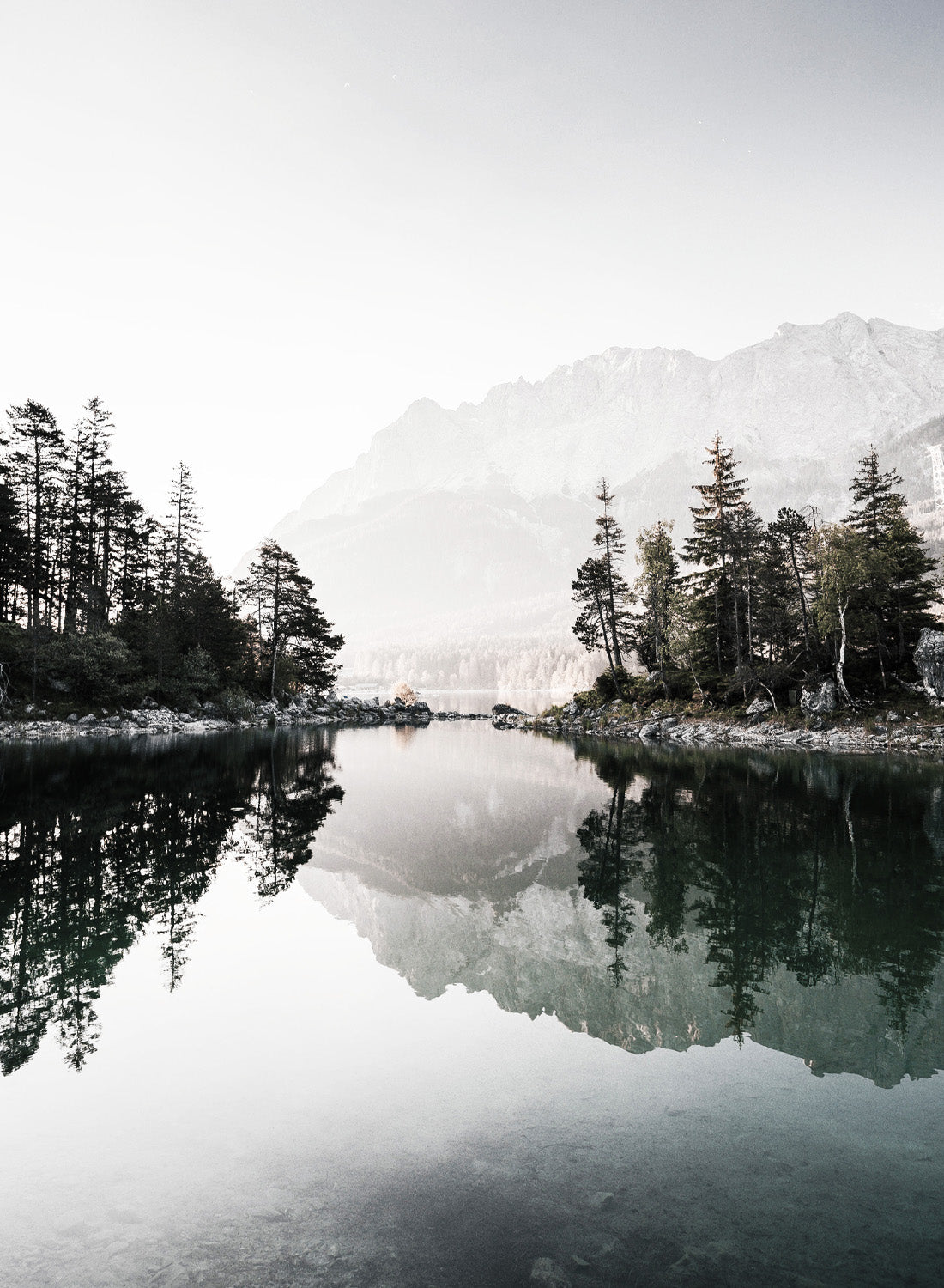 FOREST AND LAKE