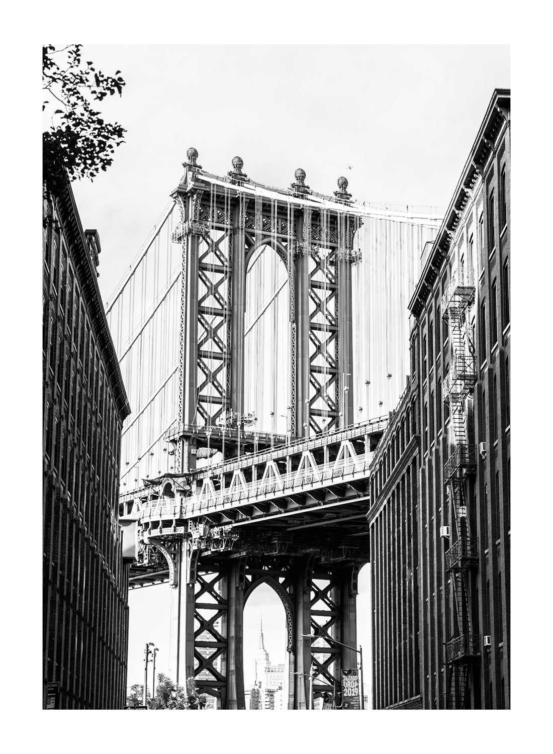 NY