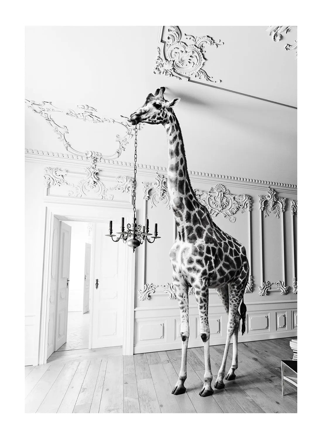 GIRAFFE IN VINTAGE HOUSE