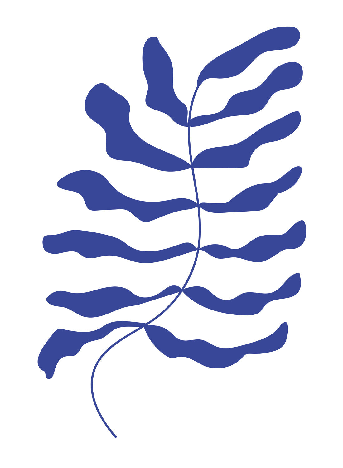BLUE PLANT
