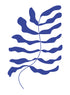 BLUE PLANT