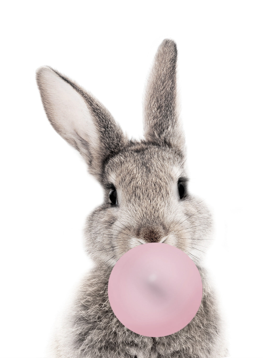 BUBBLEGUM BUNNY
