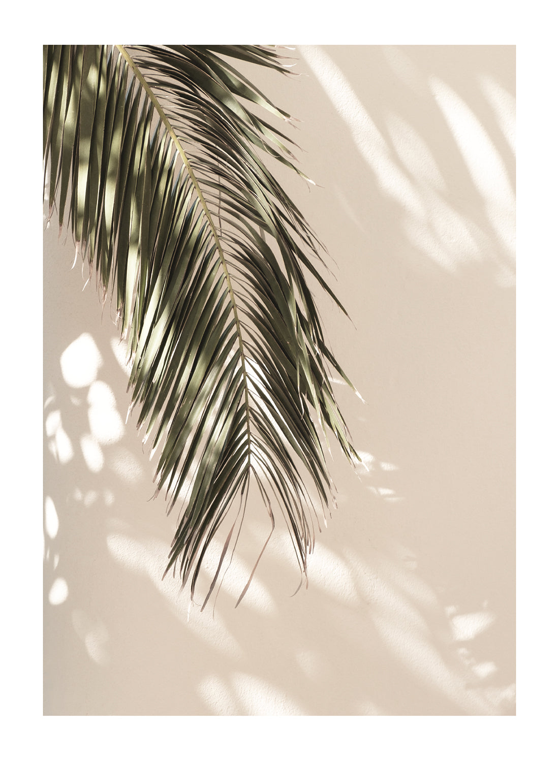 GREEN PALM LEAF