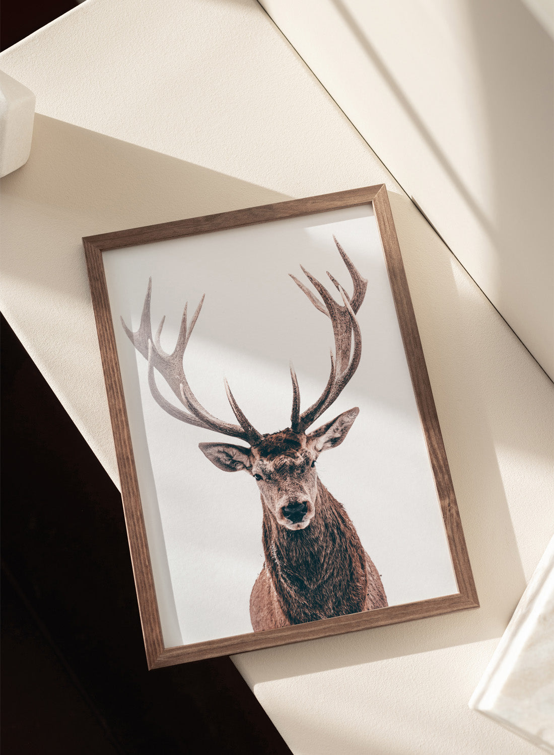 BROWN DEER