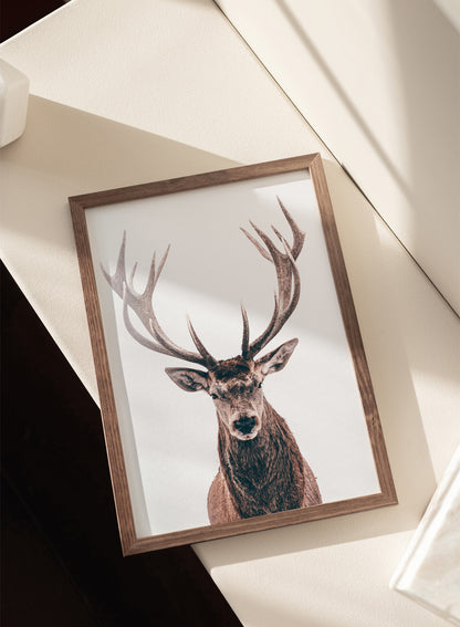 BROWN DEER