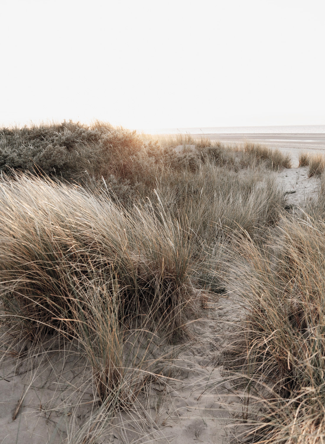 DUNE BEACH