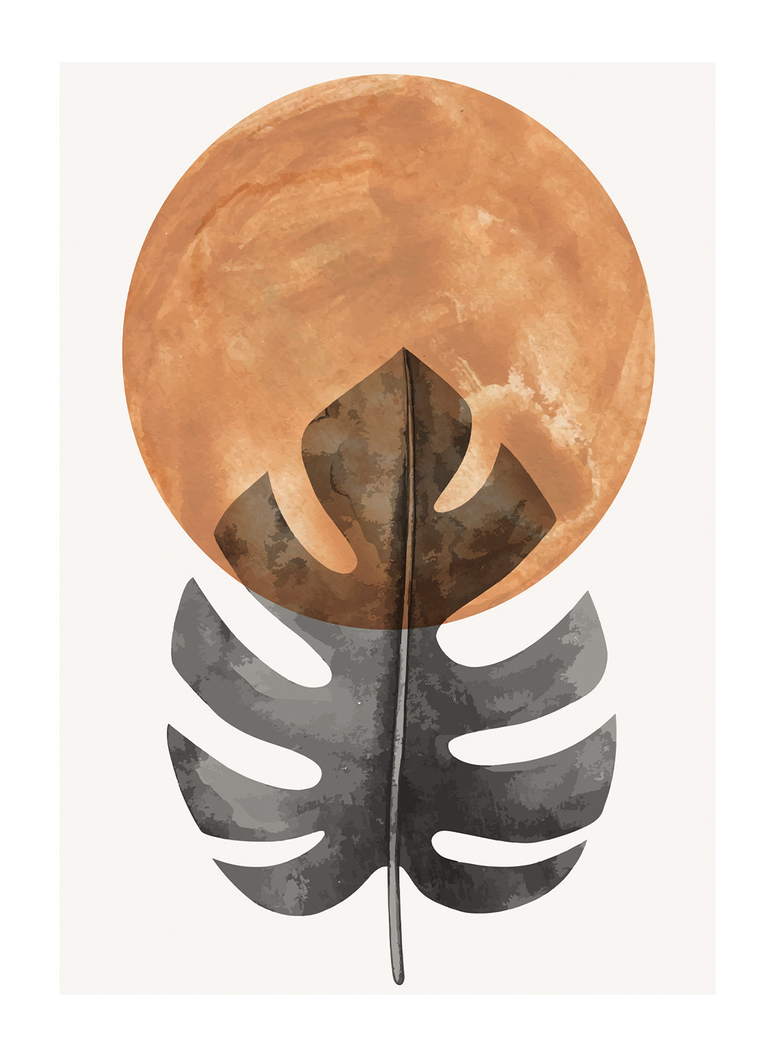 MONSTERA LEAVES AND SUN